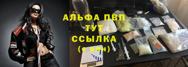прущие крисы Абаза