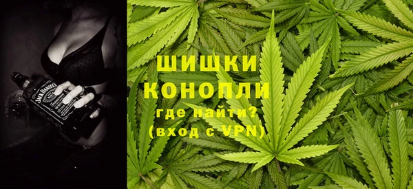 сатива Абинск