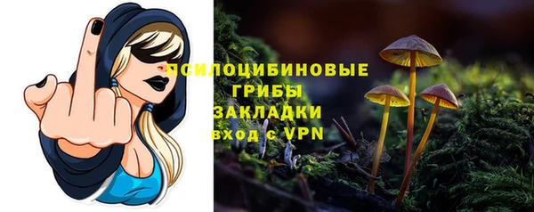 прущие крисы Абаза