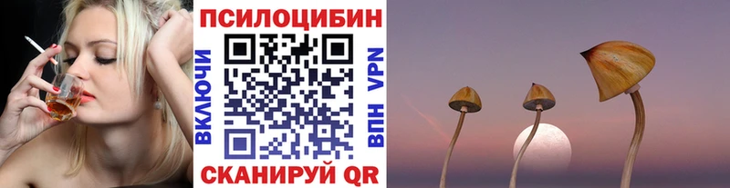 kraken онион  Карабаново  Галлюциногенные грибы Psilocybe 